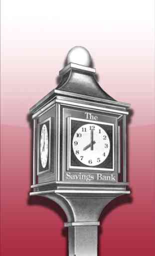 The Savings Bank 1