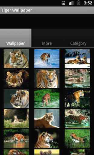 Tiger Wallpaper 1