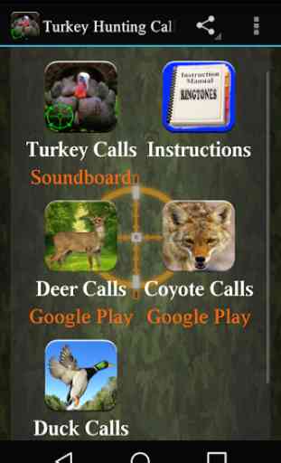 Turkey Hunting Calls 1