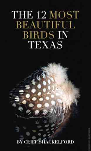 TX Parks & Wildlife magazine 3
