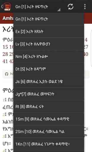 Amharic Holy Bible 4