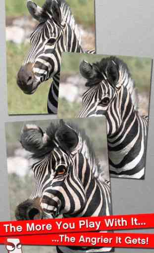 Angry Zebra Free! 1