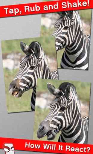Angry Zebra Free! 2