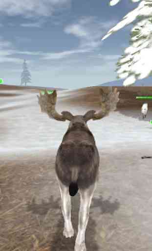Arctic Moose 4