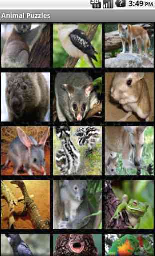 Aussie Animal Puzzles 4