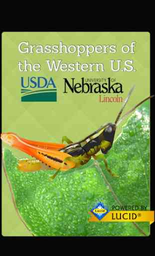 Grasshoppers of the Western US 1