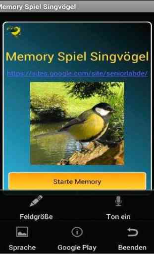 Memory Game Songbirds 1