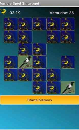 Memory Game Songbirds 2