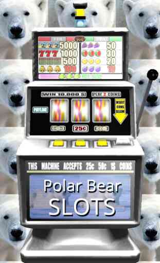 Polar Bear Slots - Free 1