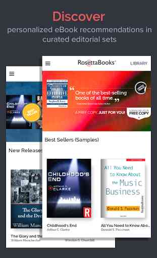 RosettaBooks 1