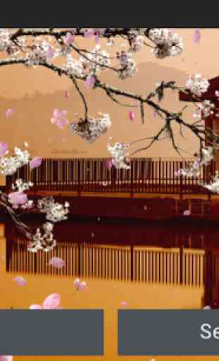 Sakura Garden Live Wallpaper 3