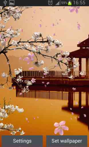Sakura Garden Live Wallpaper 4