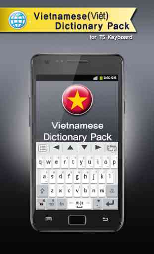 Vietnamese for TS Keyboard 1