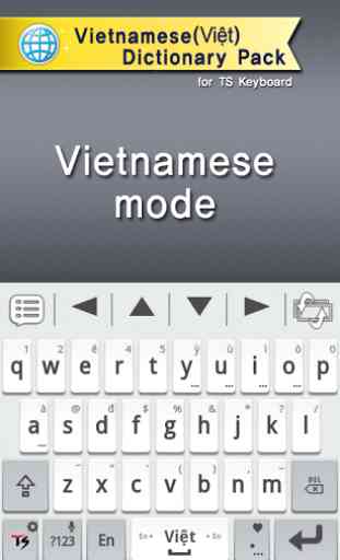 Vietnamese for TS Keyboard 2