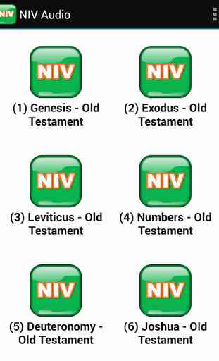 Audio Bible (NIV) Free App. 3