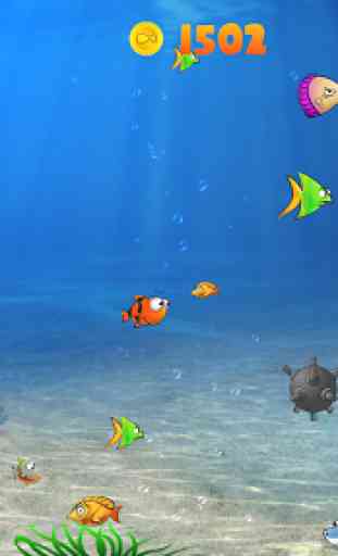 Hungry Nemo 4