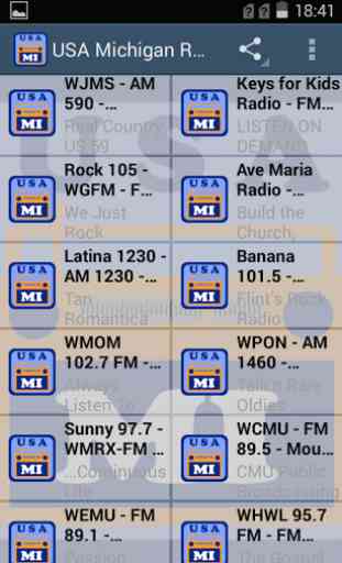 USA Michigan Radio 4