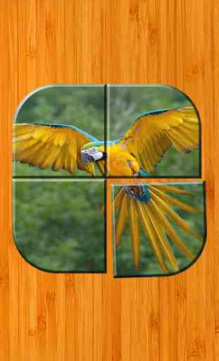 Bird Picture Puzzle Games Free 1