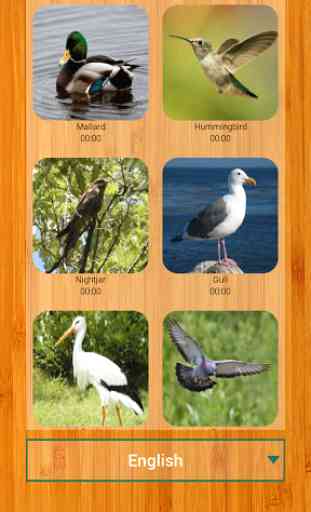 Bird Picture Puzzle Games Free 2