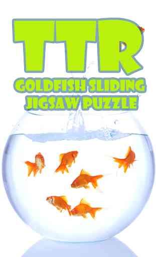 Goldfish Sliding Puzzle 1