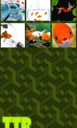 Goldfish Sliding Puzzle 3