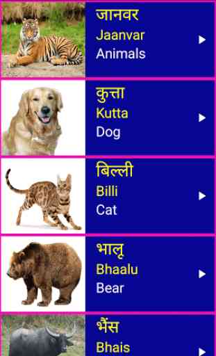 Learn Hindi From English 4