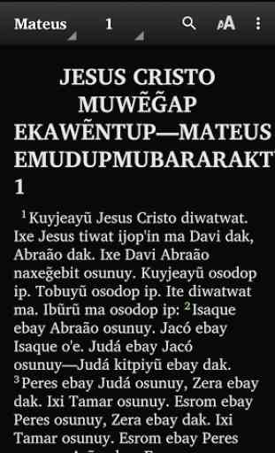 Mundurukú - Bible 2