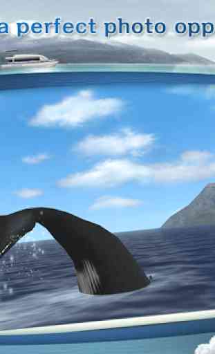 REAL WHALES Find the cetacean. 3