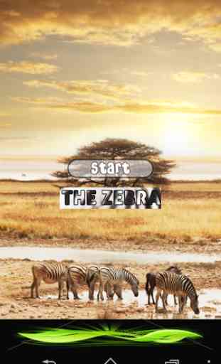 The Zebra Game 2
