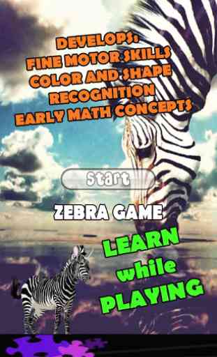 Zebra Games for Kids 2