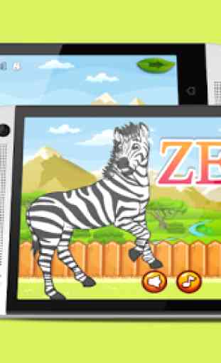 Zebra Run 1