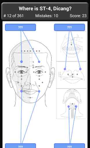 Acupuncture Points Body Quiz 4