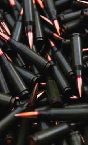 Ammunition Weapons LWP 1