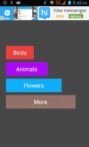 Animals Flowers Birds 1