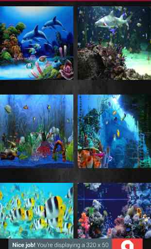 Aquarium Wallpaper 2