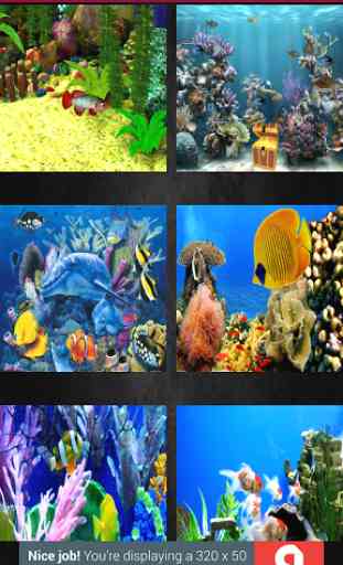 Aquarium Wallpaper 3