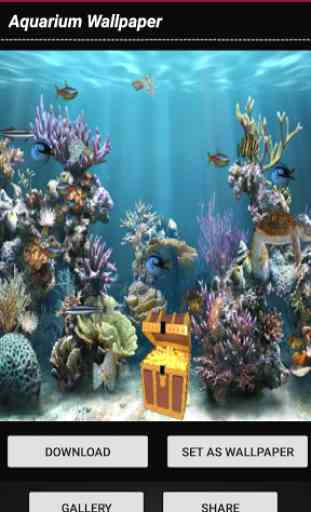 Aquarium Wallpaper 4
