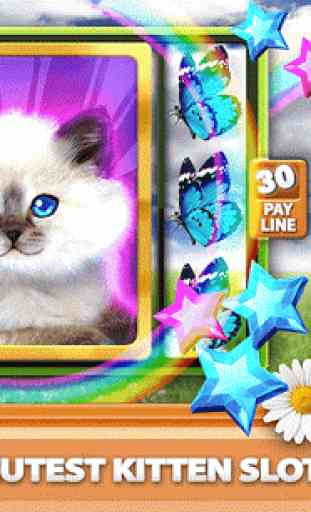 Casino Kitty Free Slot Machine 2
