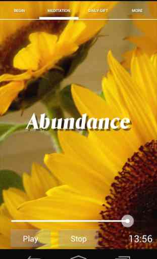 Creating Abundance in 21 days 1
