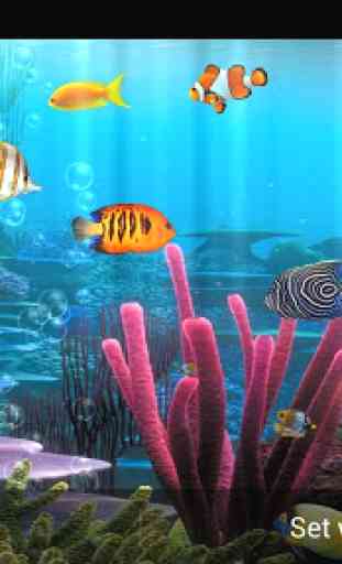 Fish Aquarium Free 4