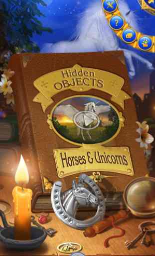 Hidden Objects: Horses 1