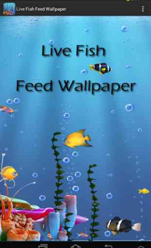 Live Fish Feed Wallpaper 3
