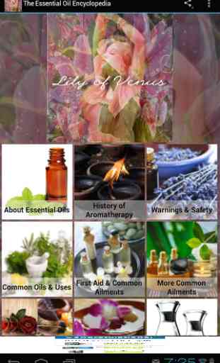 The Essential Oil Encyclopedia 1