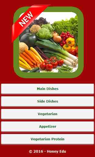 Vegetarian Recipes 1