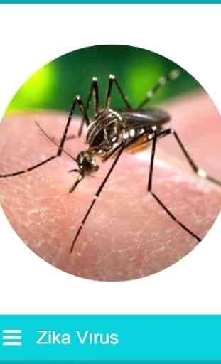 Zika Virus - News 1