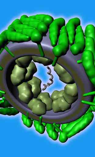 ZIKA Virus Structure in 3D VR 4