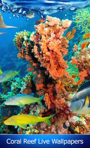 Coral Reef Live Wallpapers 1