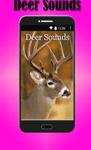 Deer Sounds 1