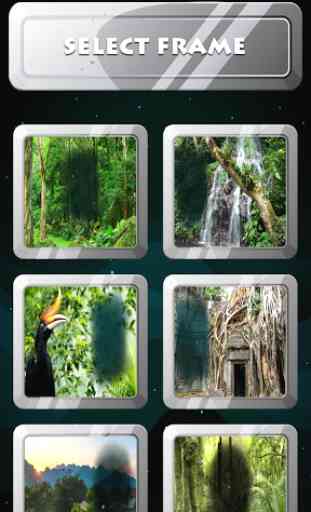 Jungle Forest Photo Frames 3