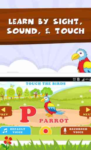 Learn Bird Names - Kids Fun 2